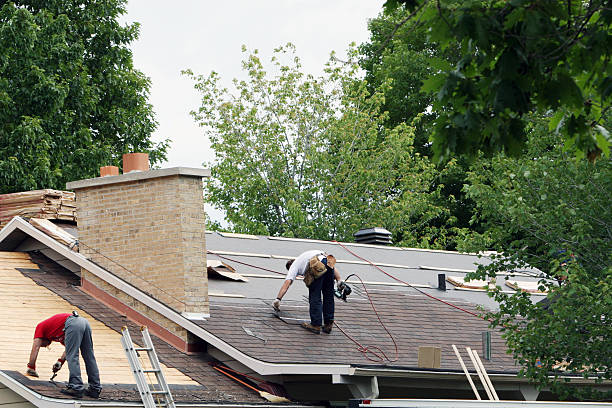 Best Roof Gutter Cleaning  in Wallenuck Lake Estates, PA